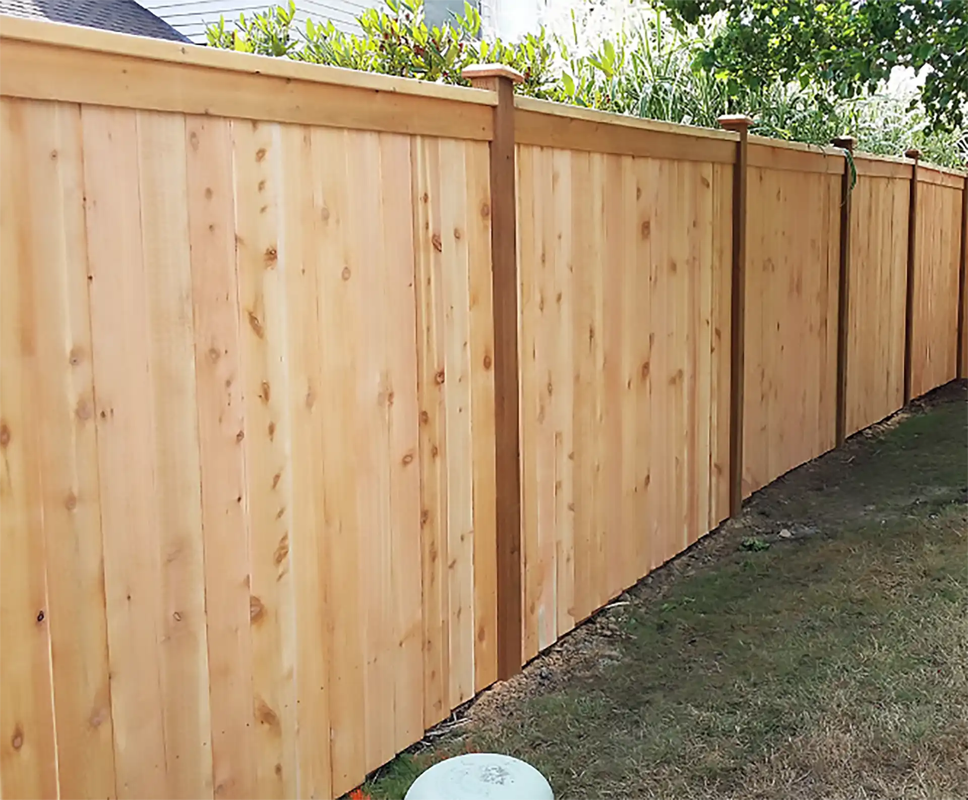 Fence Contractors near me in Bellevue WA